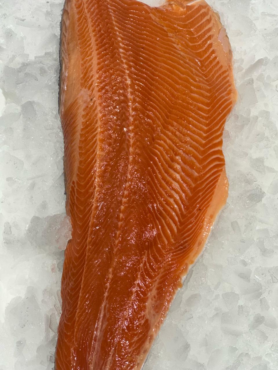 Trucha Steelhead Filete/Penca (Argentina)
