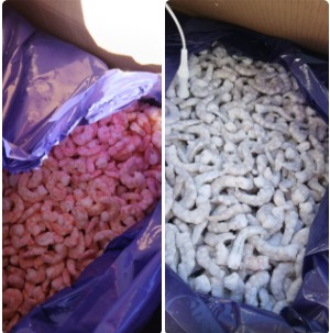 Camarones Pelados Cocidos o Crudos (Ecuador)
