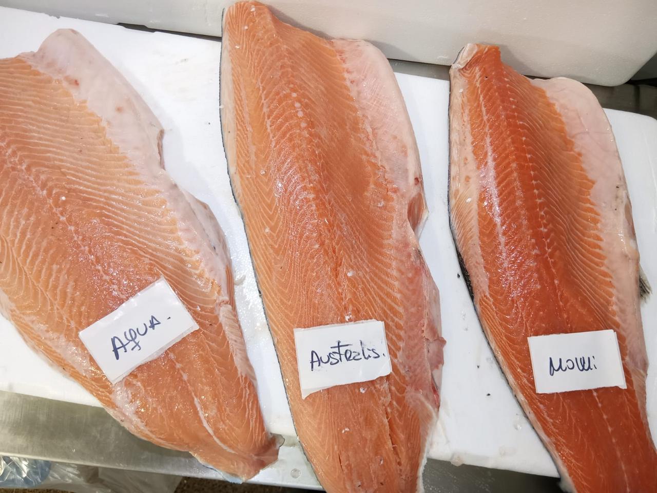 Salmón Rosado Entero (Chile)