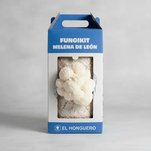 Fungikit Melena de León