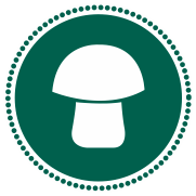 EL HONGUERO